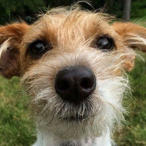 Meet your Posher, Martha